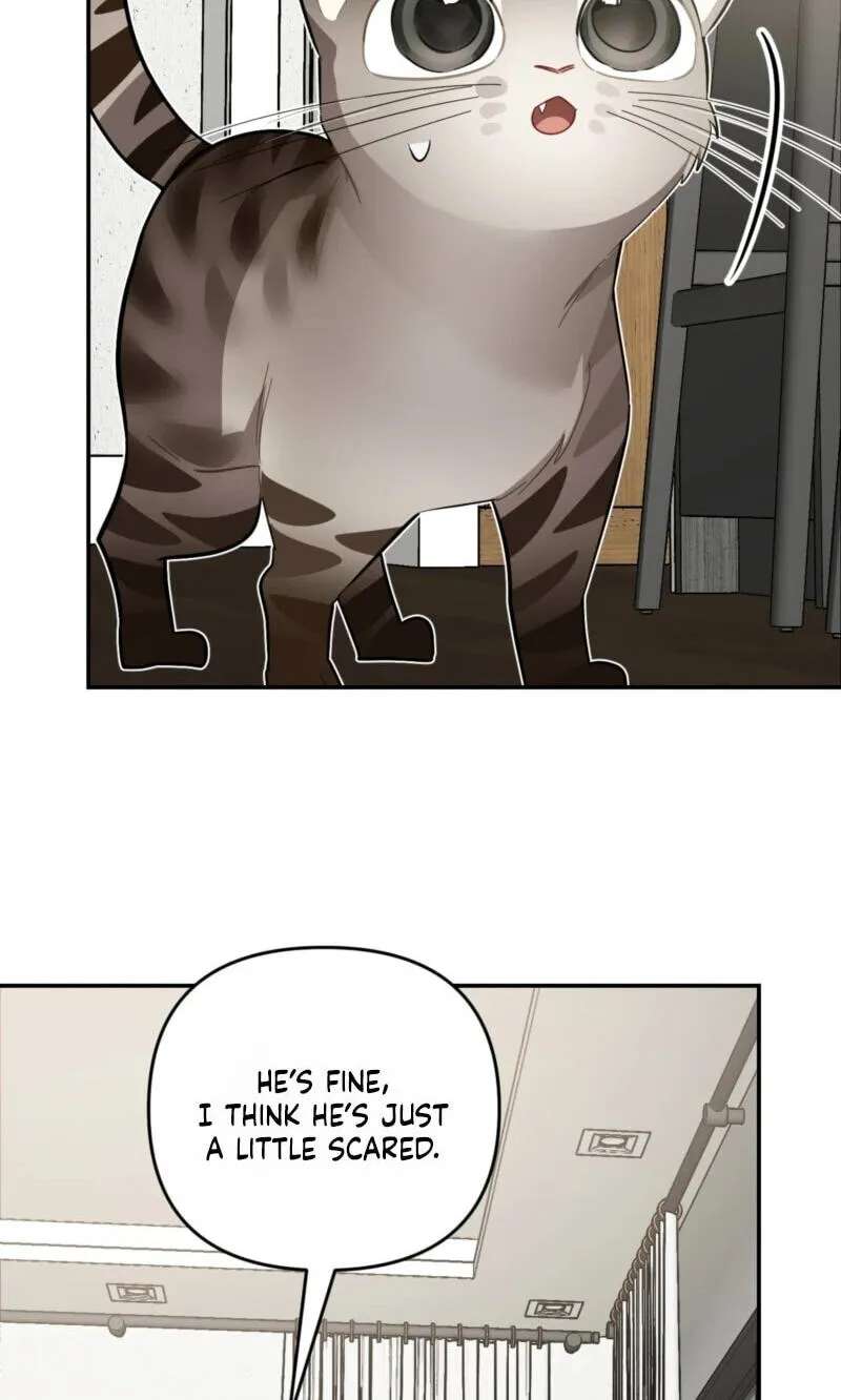 Give Birth to a Baby Wildcat for Me, Unless You Want to See Me Go Insane! Chapter 38 - page 78