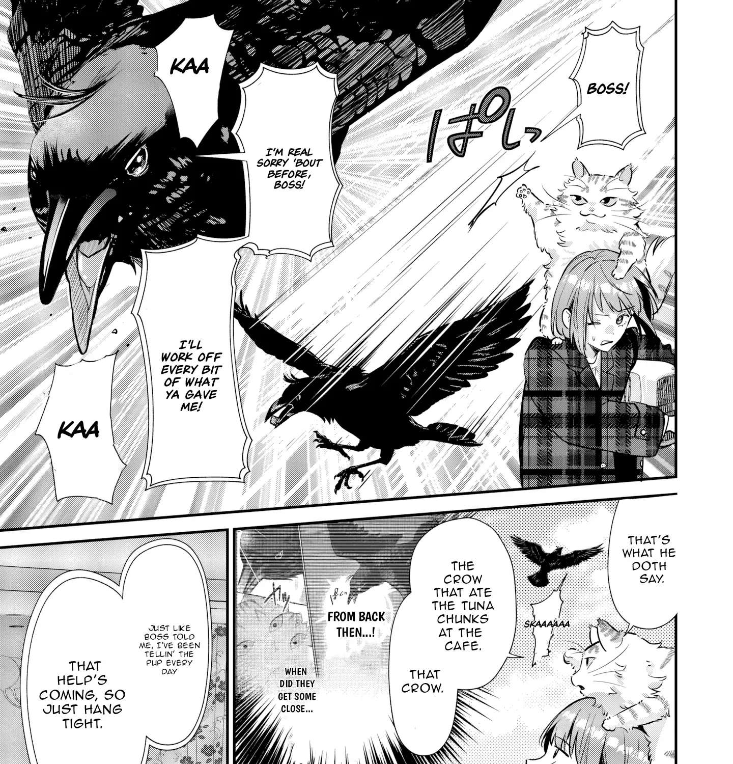 Is the Cat I Picked Up Really a Cat? Chapter 5.2 - page 12