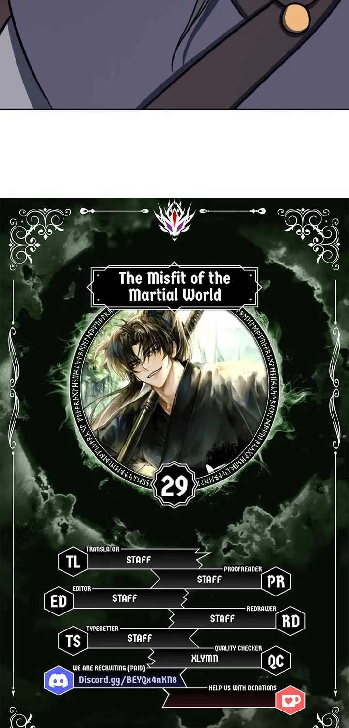 The Misfit of the Martial World Chapter 29 - page 5