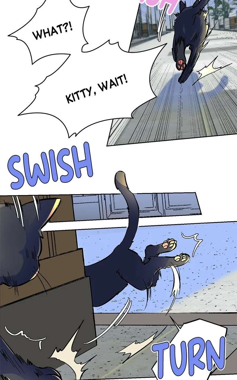 SUMMER MOON: THE QUPRIDS Chapter 44 - page 36