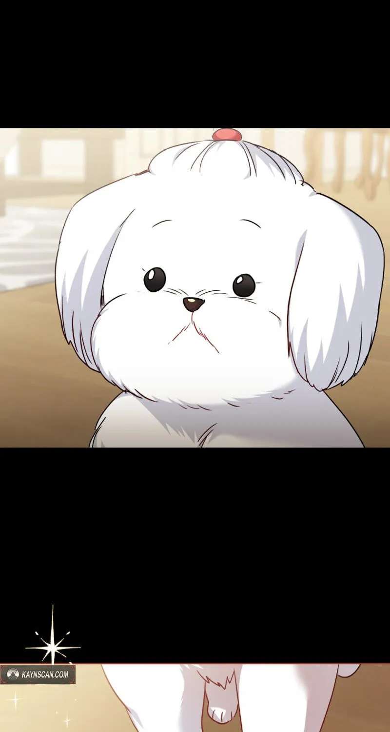Hello, Mr. Veterinarian! Chapter 145 - page 34
