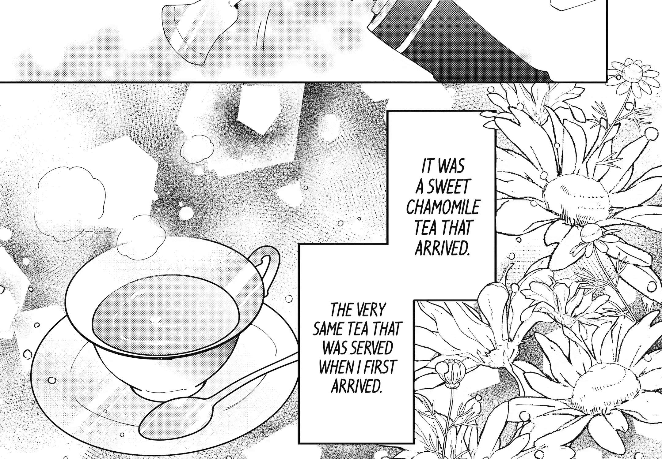 Bijin no Ane ga Iyagattanode, dou Mitemo Sugata ga Shiro no Jiki Hakushaku ni Totsugimashita Tokoro Chapter 8 - page 30