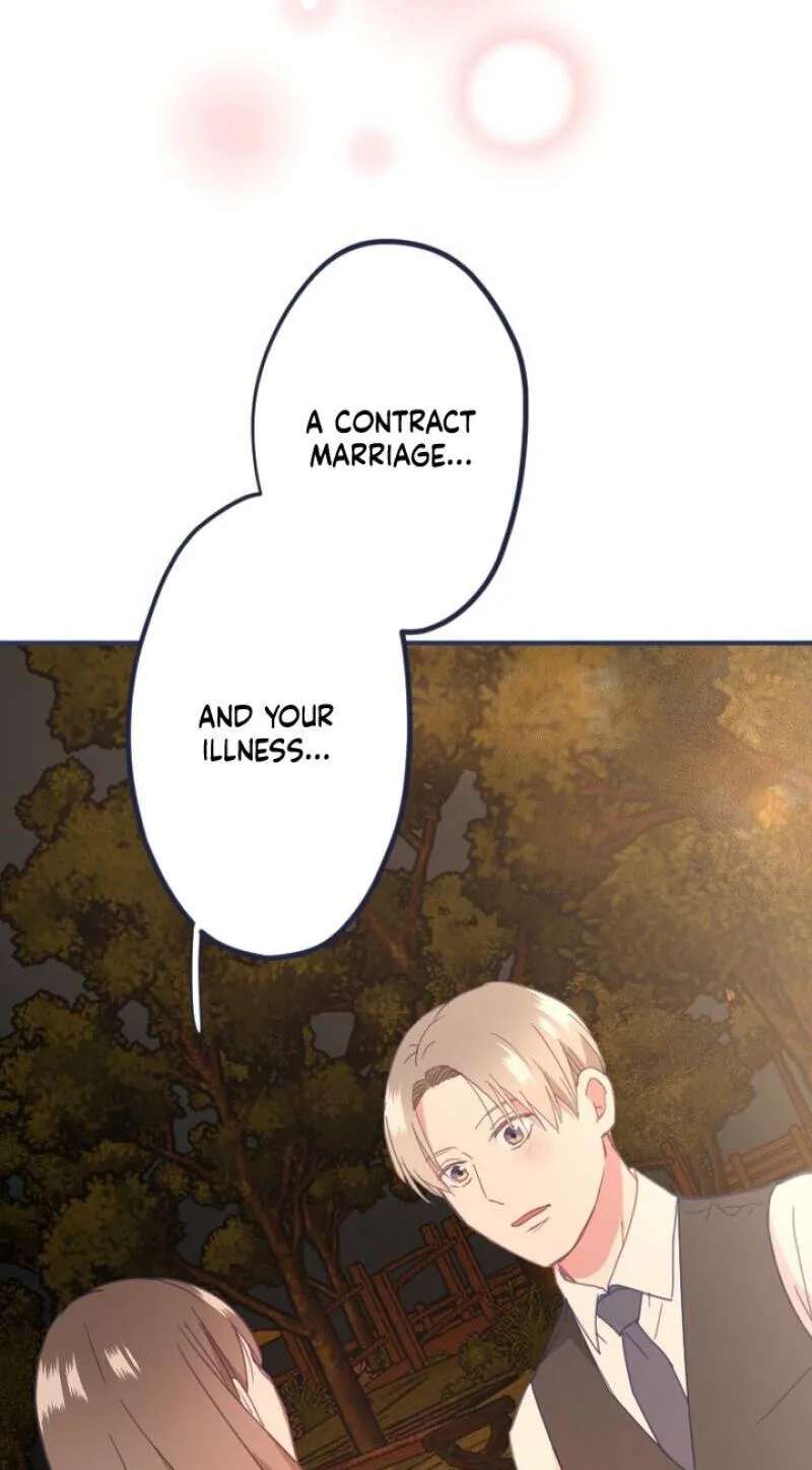 Saigo no Koi o Kimi ni Sasagu ~Yomei 1-nen no Onzoushi~ Chapter 26 - page 3