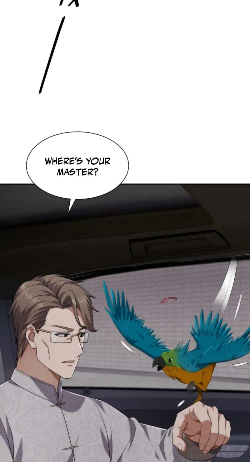 Urban Dragon Revealed Chapter 101 - page 19
