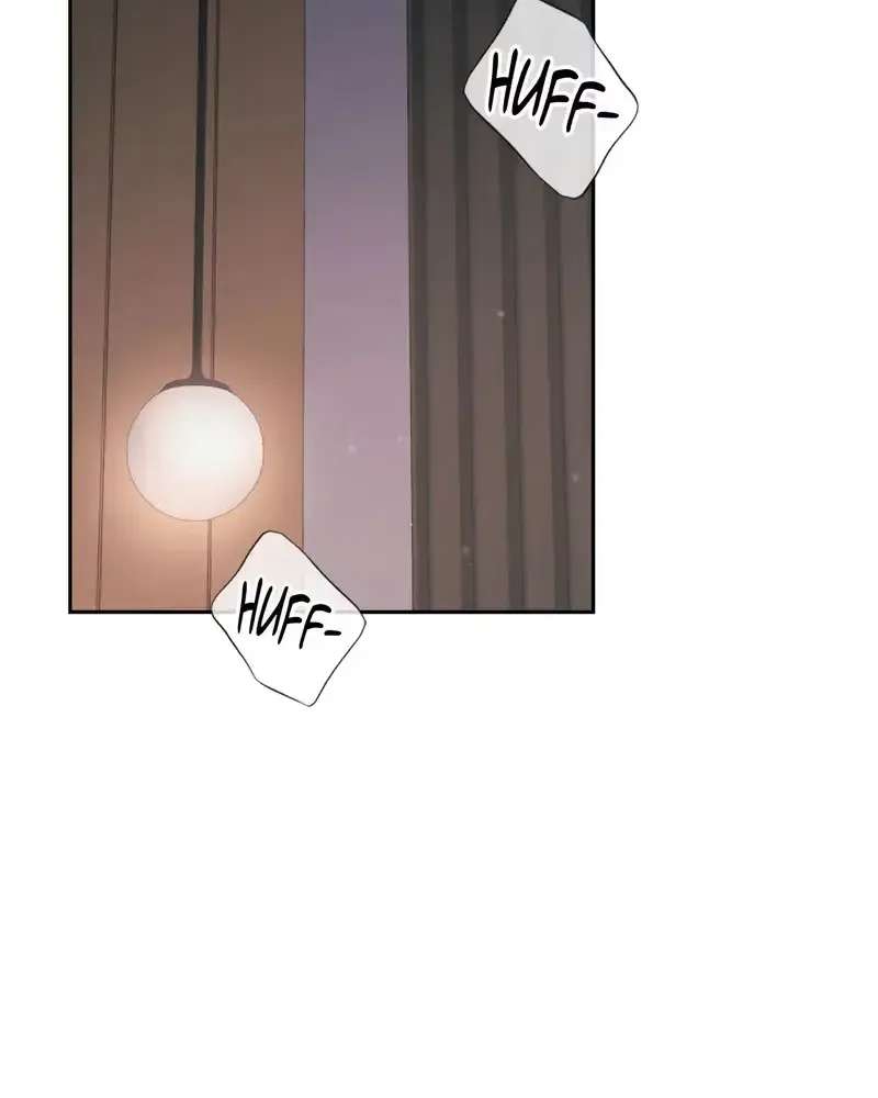 I'm Not Your Fated Guide, But... Chapter 48 - page 51