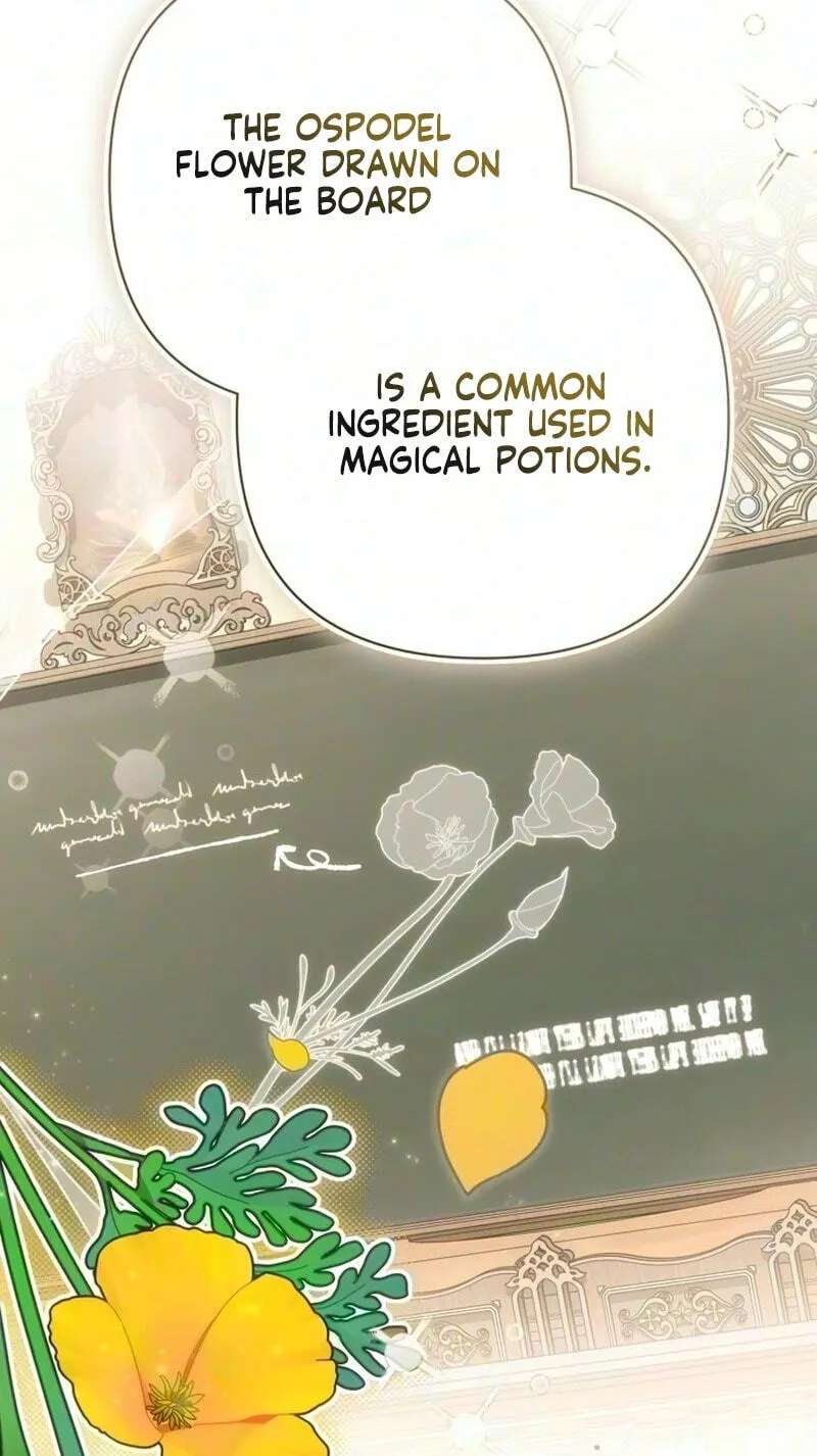 The Archmage Becomes the Swordmaster's Youngest Daughter Chapter 51 - page 43