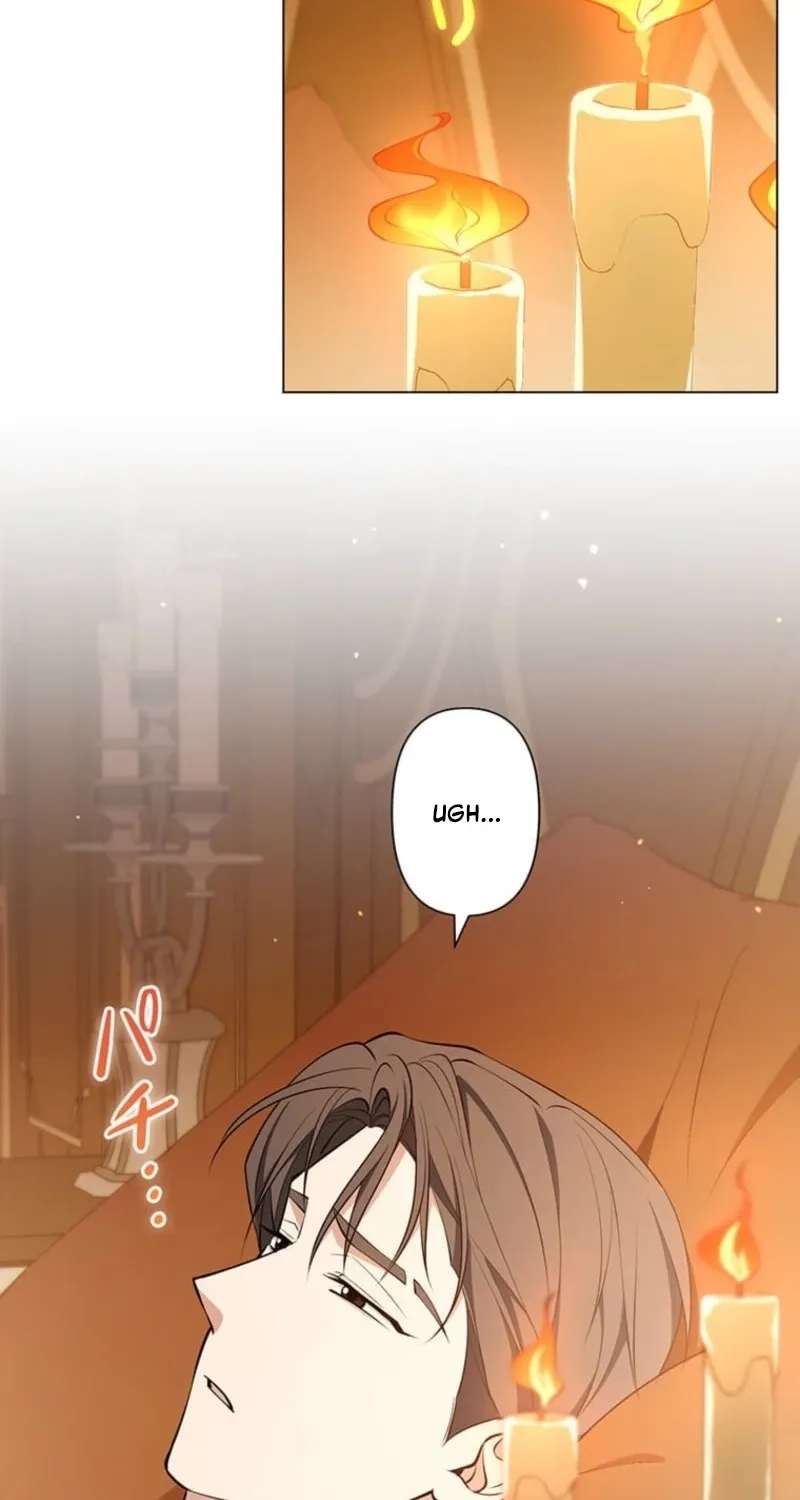 The Enemy King's Substitute Bride Chapter 46 - page 76