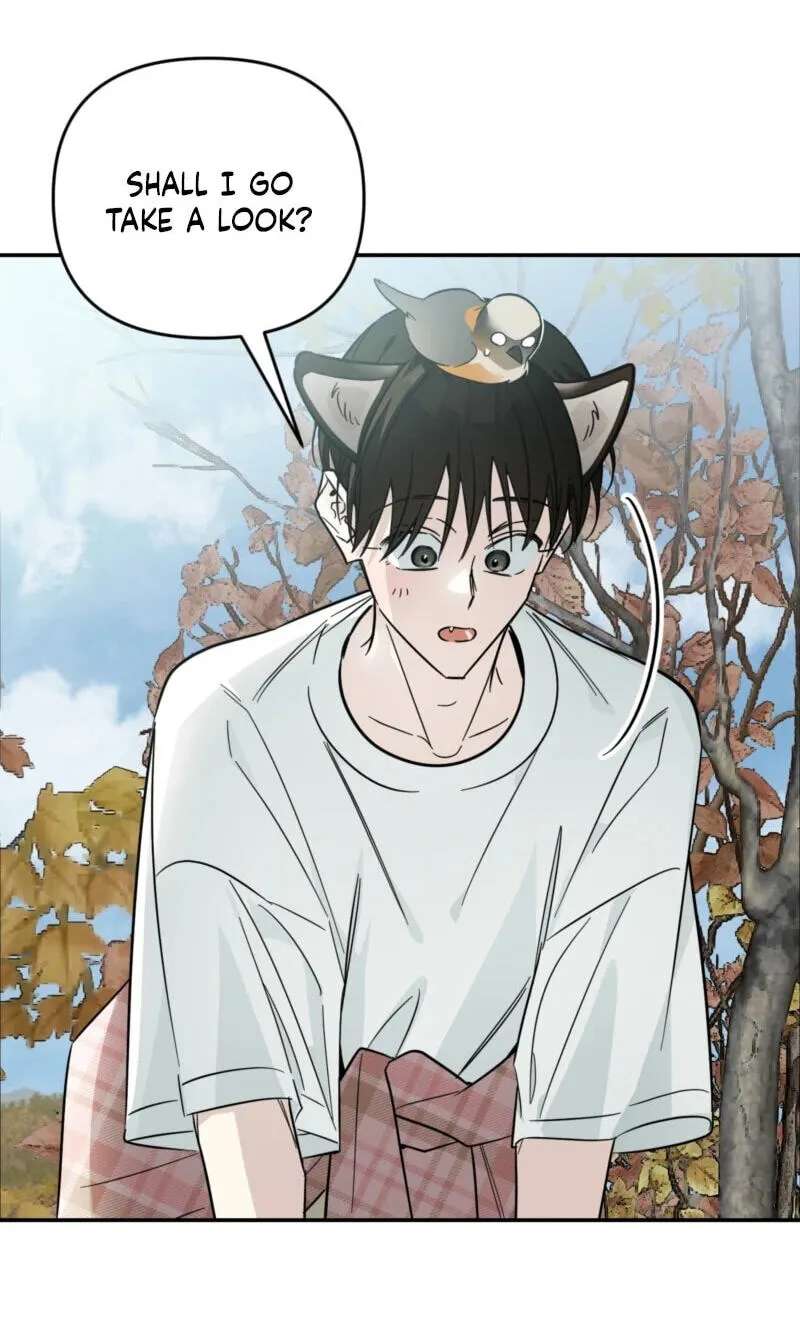 Give Birth to a Baby Wildcat for Me, Unless You Want to See Me Go Insane! Chapter 35 - page 41