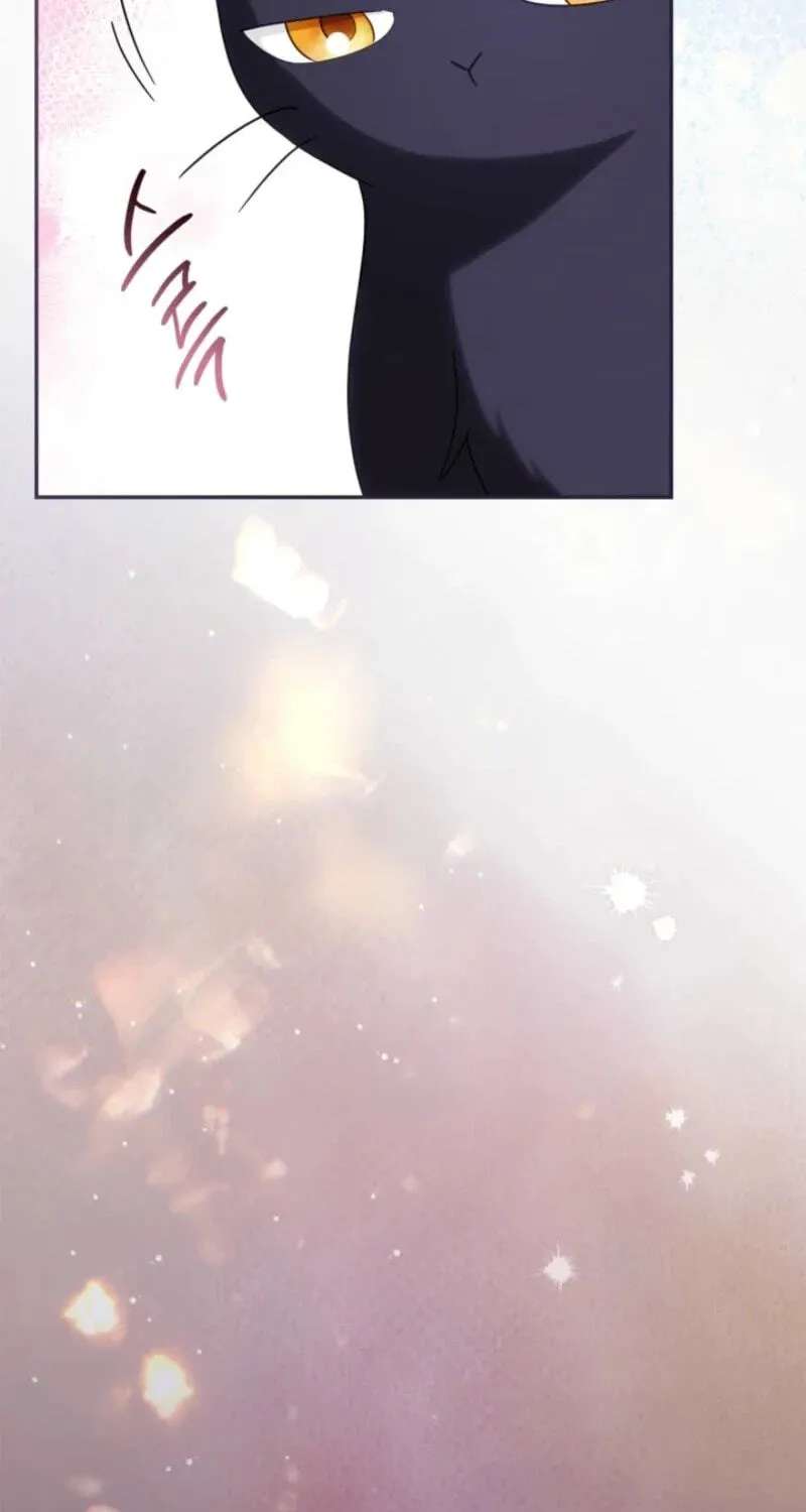 The Search for the Duchess's Husband Chapter 34 - page 75