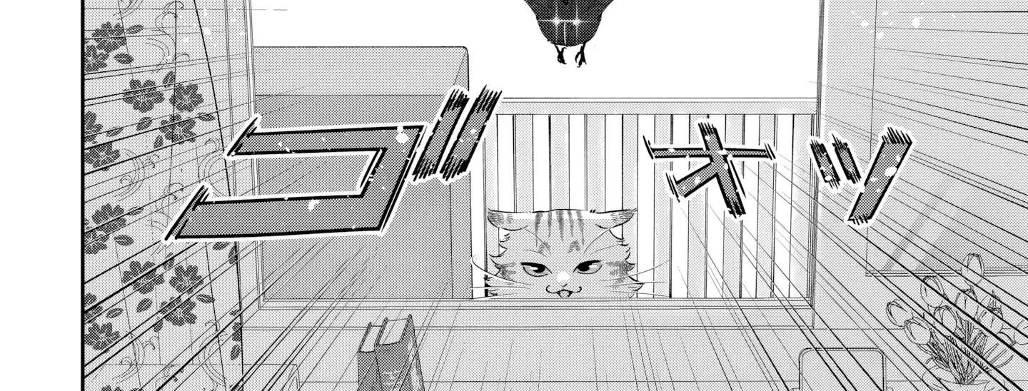 Is the Cat I Picked Up Really a Cat? Chapter 5.2 - page 18