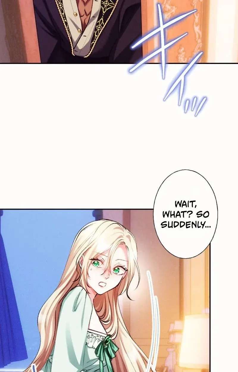 The Princess Abducted to a Land Without Women Chapter 6 - page 25