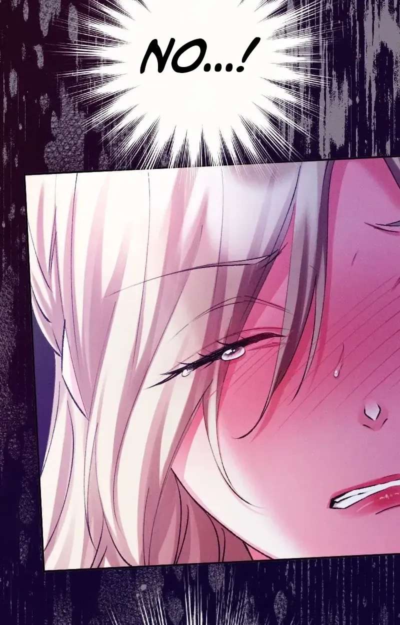 The Princess Abducted to a Land Without Women Chapter 8 - page 19