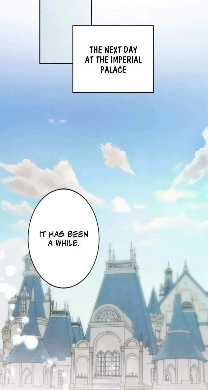The Timid Lady of the Frontier Won't Give Up on Revenge Chapter 23 - page 49