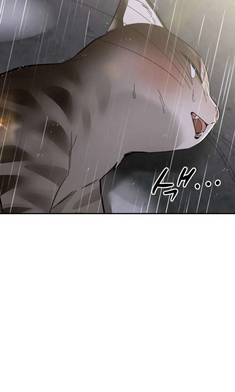 Give Birth to a Baby Wildcat for Me, Unless You Want to See Me Go Insane! Chapter 38 - page 95