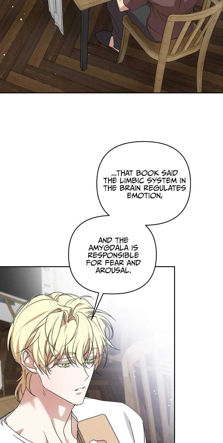 Arcadia Service: Kaishi kara San Nen Imasara Hajimeru Kasou Sekai Kouryaku Chapter 18 - page 41