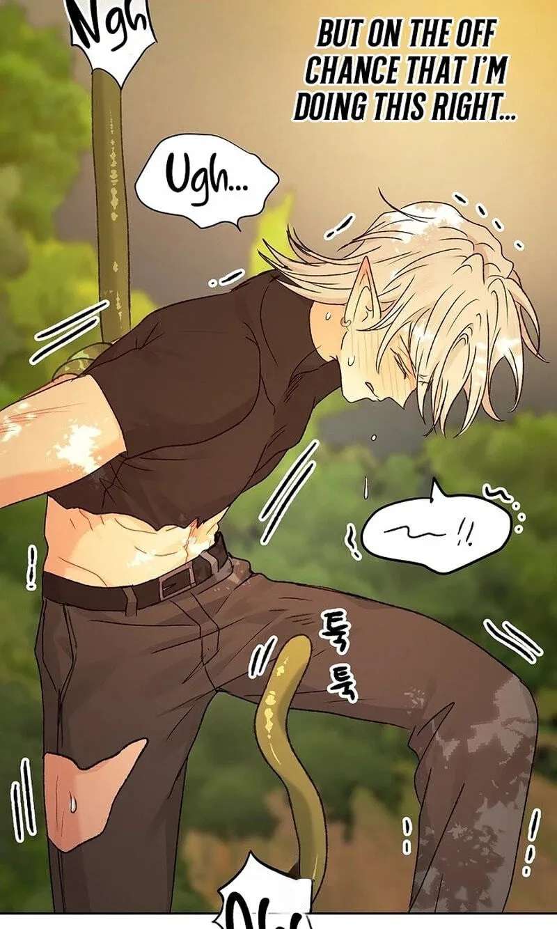 The Mating of Elves Chapter 69 - page 67
