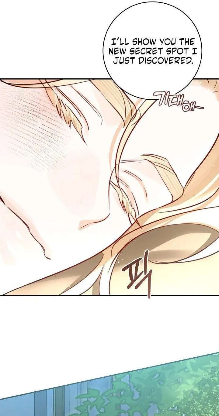 The Archduke's Fabulous Fake Marriage Chapter 119 - page 68