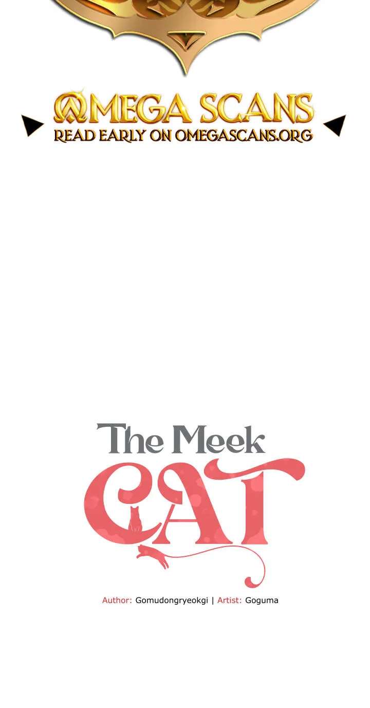 A well-behaved cat Chapter 18 - page 2