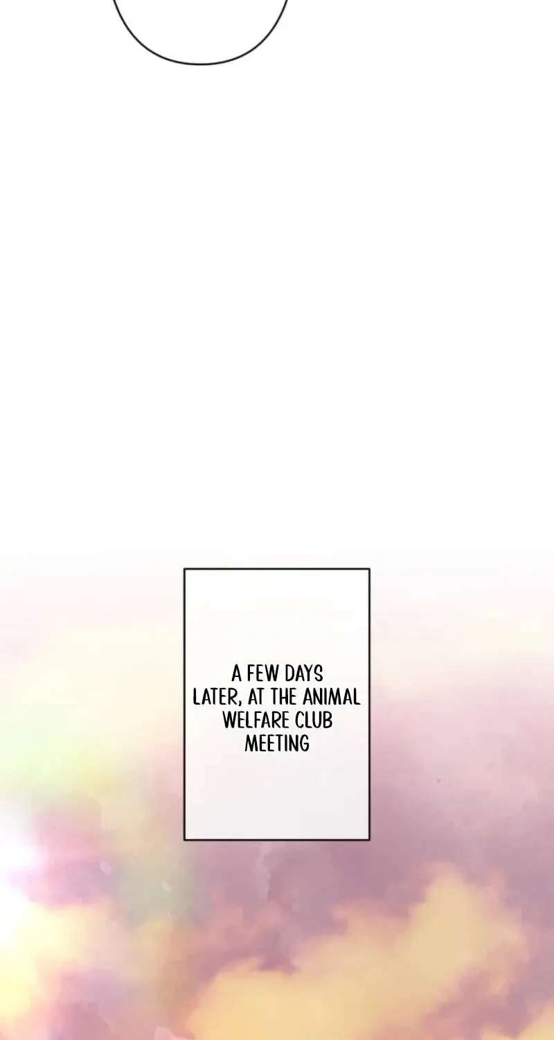 When My Enemies Weep Chapter 47 - page 33