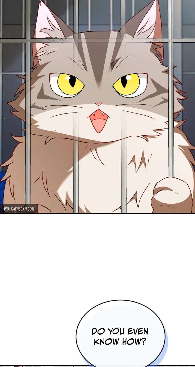 Hello, Mr. Veterinarian! Chapter 146 - page 34