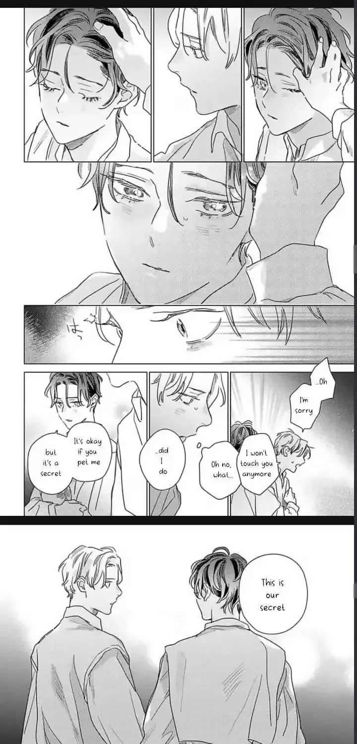 Twinkling Secrets Told Us Tonight Is the Night. Chapter 2 - page 25