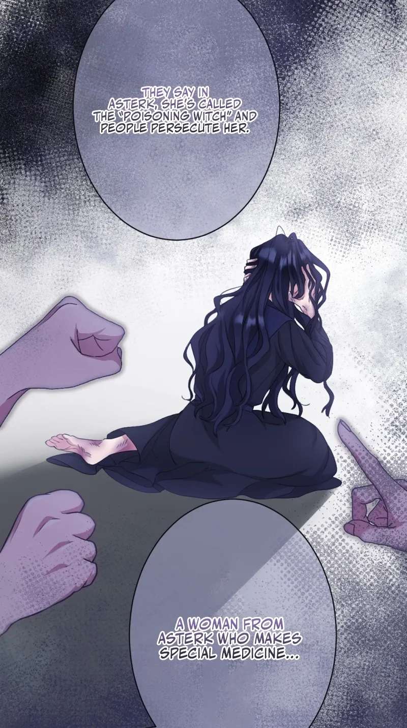The Unhappy Poison Witch's Happy Marriage Chapter 16 - page 34