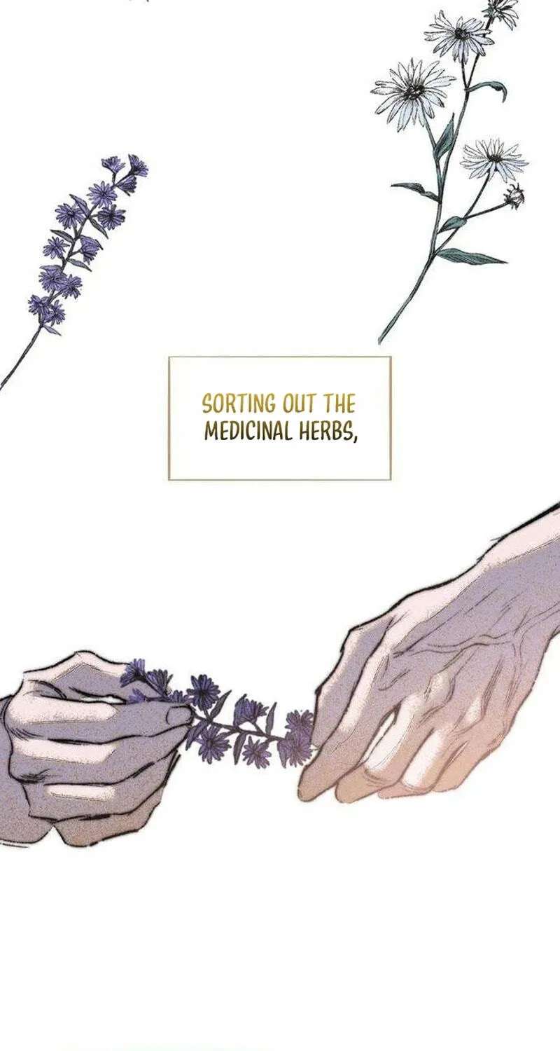 The Garden of Secrets Chapter 43 - page 46