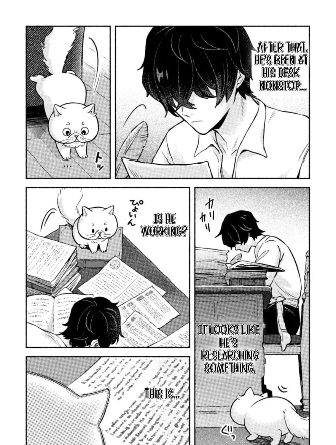 Nekura Kishi ni Yoru Dekiai Mankitsu-chuu nu Busa Neko, Jitsu wa Seijo desu! Chapter 4 - page 25