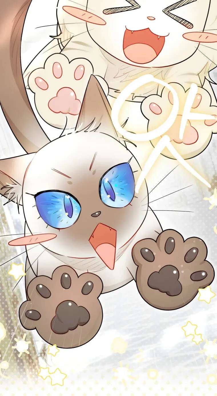 I Possessed a Villainess, but I Wanna Raise Cats! Chapter 93 - page 25
