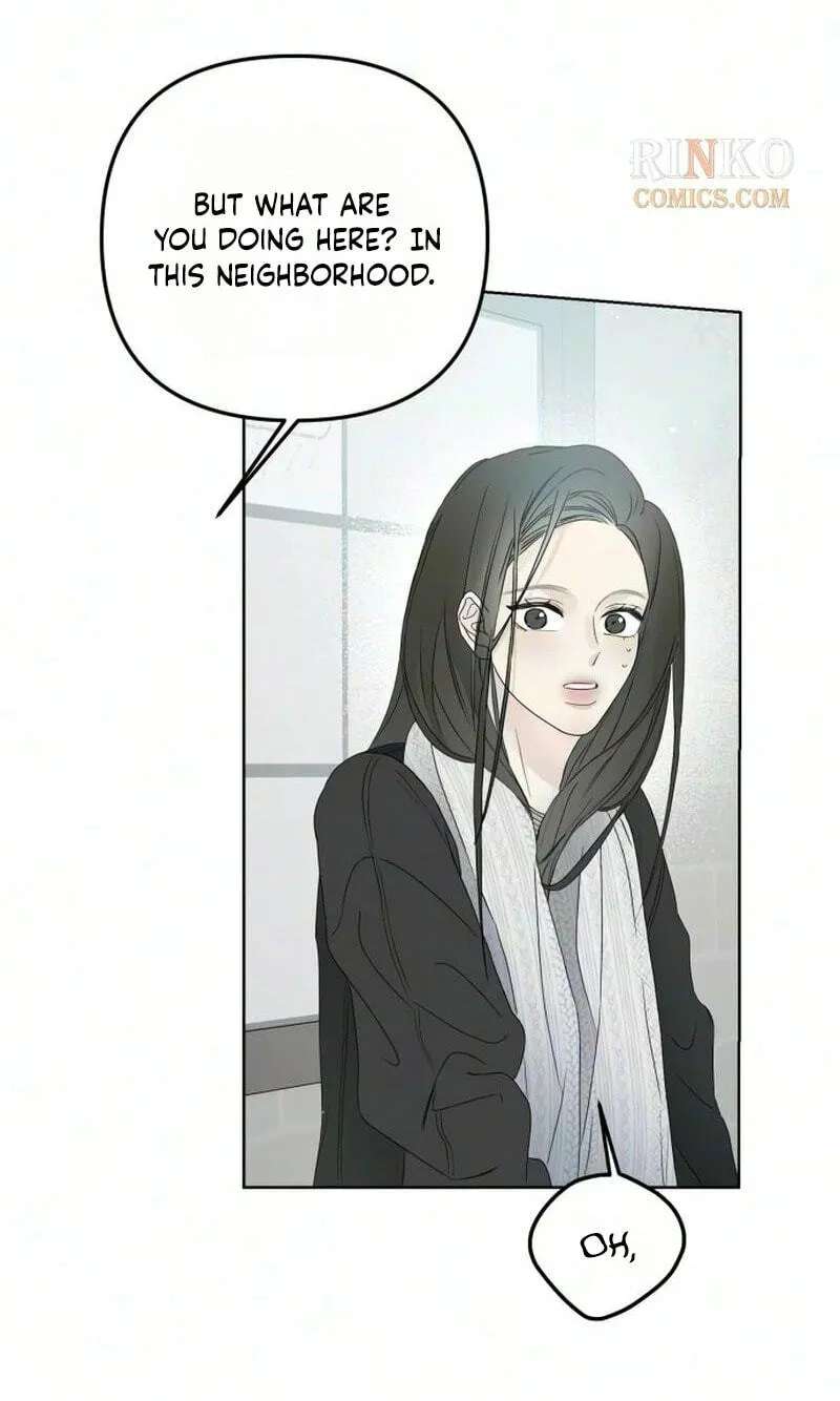 Marriage Subscription Lottery Chapter 15 - page 47