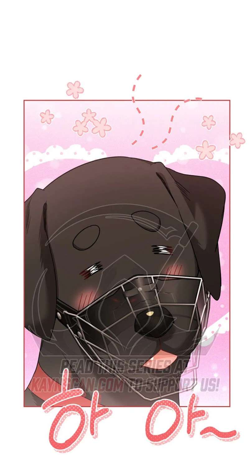 Hello, Mr. Veterinarian! Chapter 145 - page 10