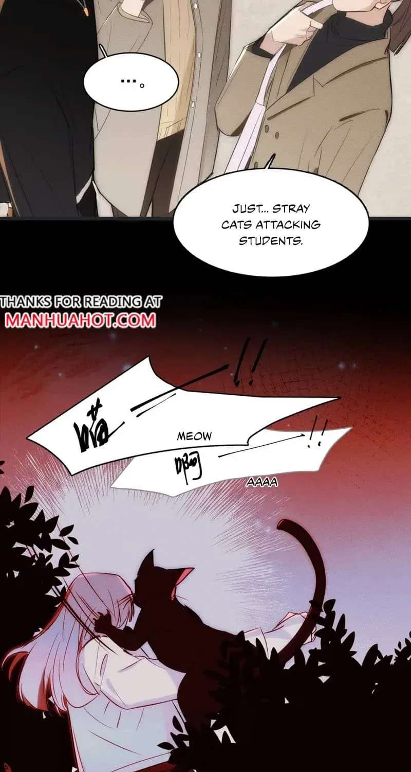 Bait For Returning to The Cage Chapter 4 - page 38