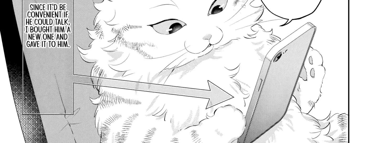 Is the Cat I Picked Up Really a Cat? Chapter 2 - page 47