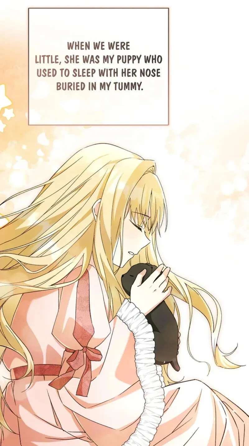 I Opened an Illegal Veterinary Clinic in Another World Chapter 48 - page 11