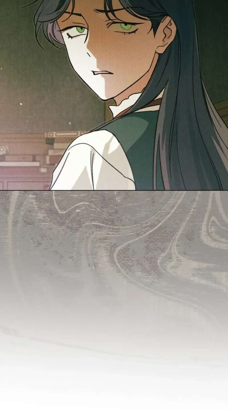 The Butterfly That Swallowed the Mist Chapter 41 - page 62