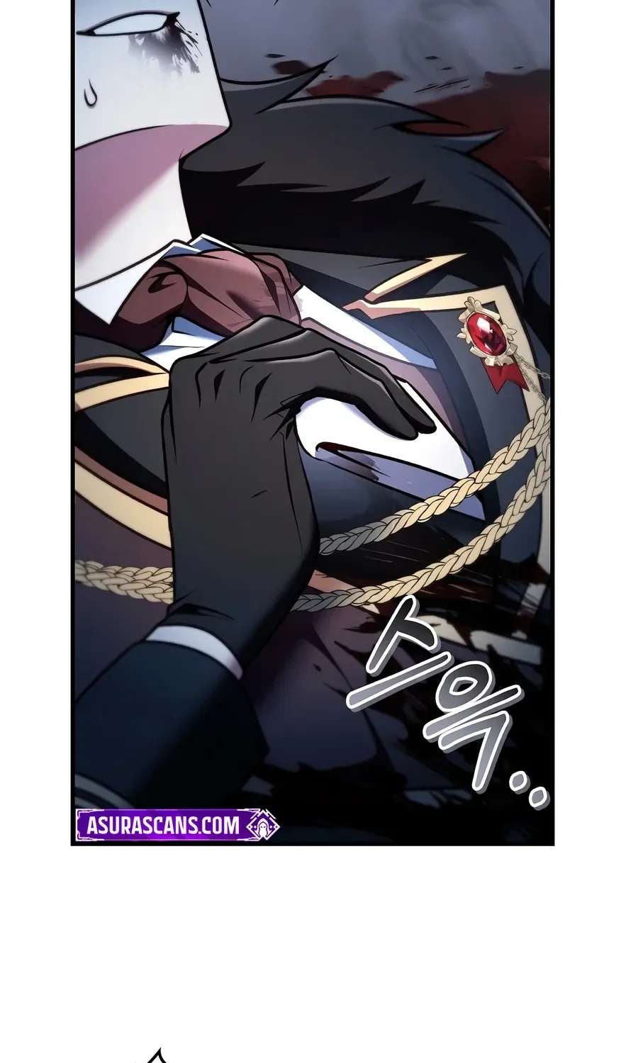 Regressor instructional manual Chapter 203 - page 101