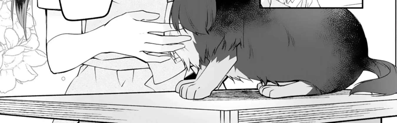 A Cat-Eared Girl's Heartwarming Meals for Fluffy Creatures Chapter 1 - page 4