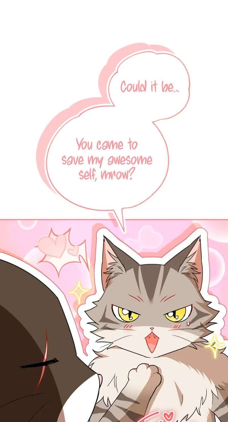 Hello, Mr. Veterinarian! Chapter 146 - page 12