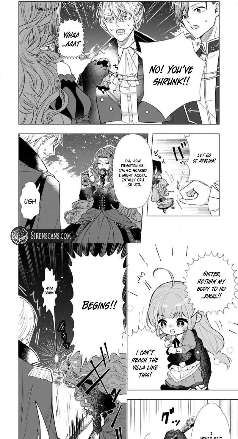 Cinderella's older sister reluctantly marries the prince ~The substitute Crown Princess enjoys a slow life in the imperial palace~ Chapter 28 - page 16