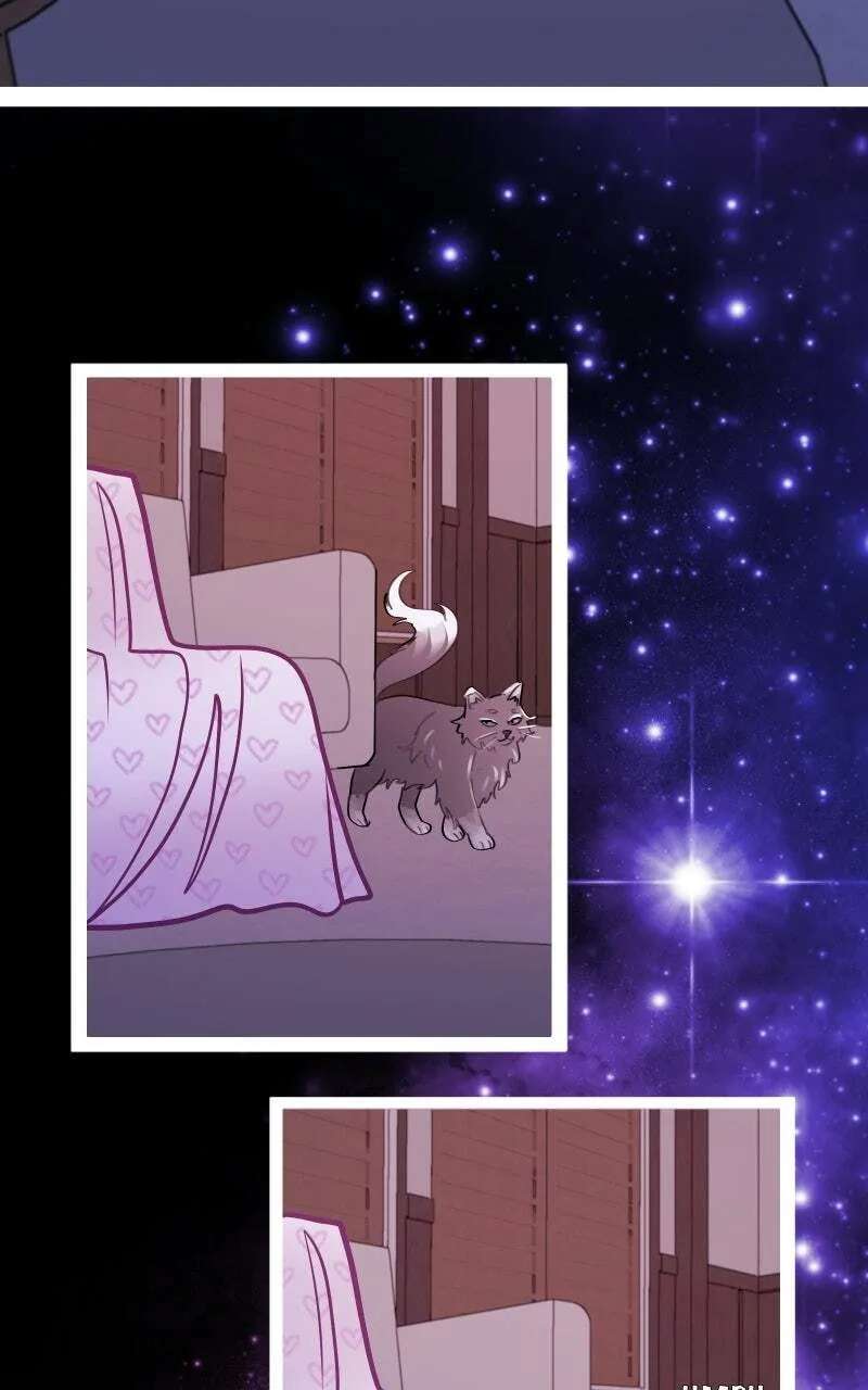 Star Catcher Chapter 113 - page 28