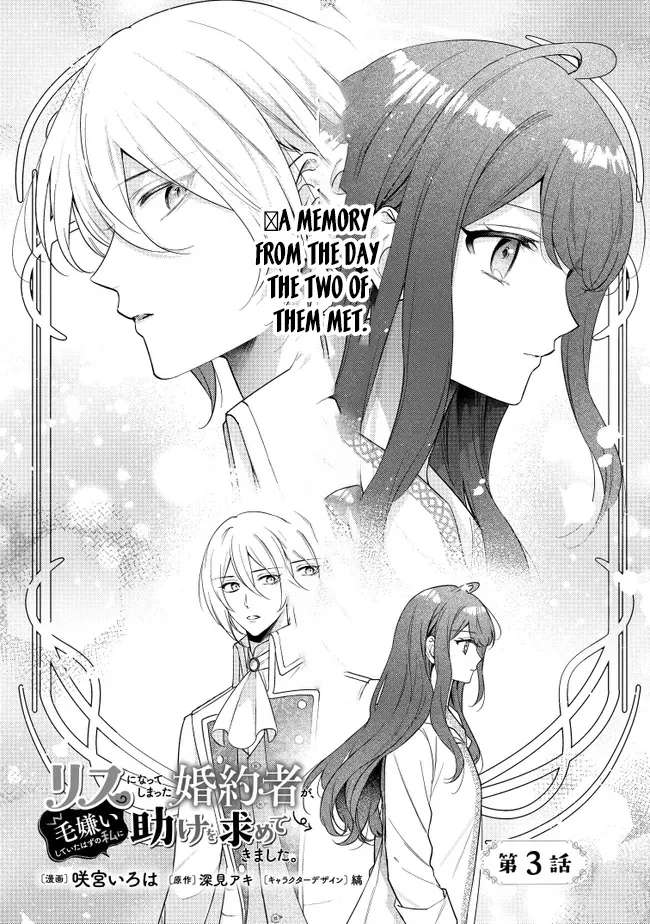 My Fiancé, Who Used to Hate Me, Turned into a Squirrel and Came to Me for Help. Chapter 3 - page 2