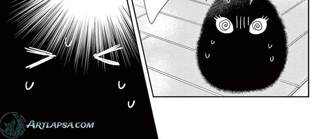 The Nameless Monster and Two Knights: And the Fiancé Is Perplexed Chapter 3 - page 11