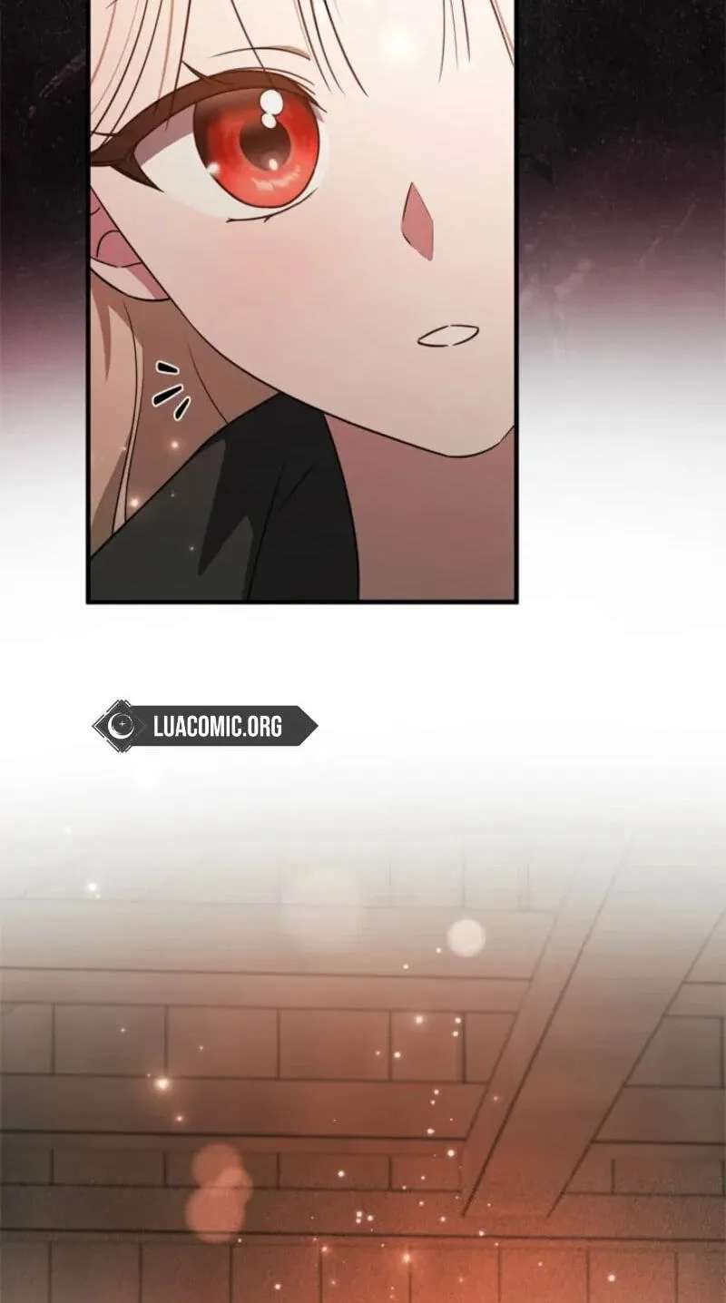 The Count's Beloved Contract Young Lady Chapter 49 - page 63