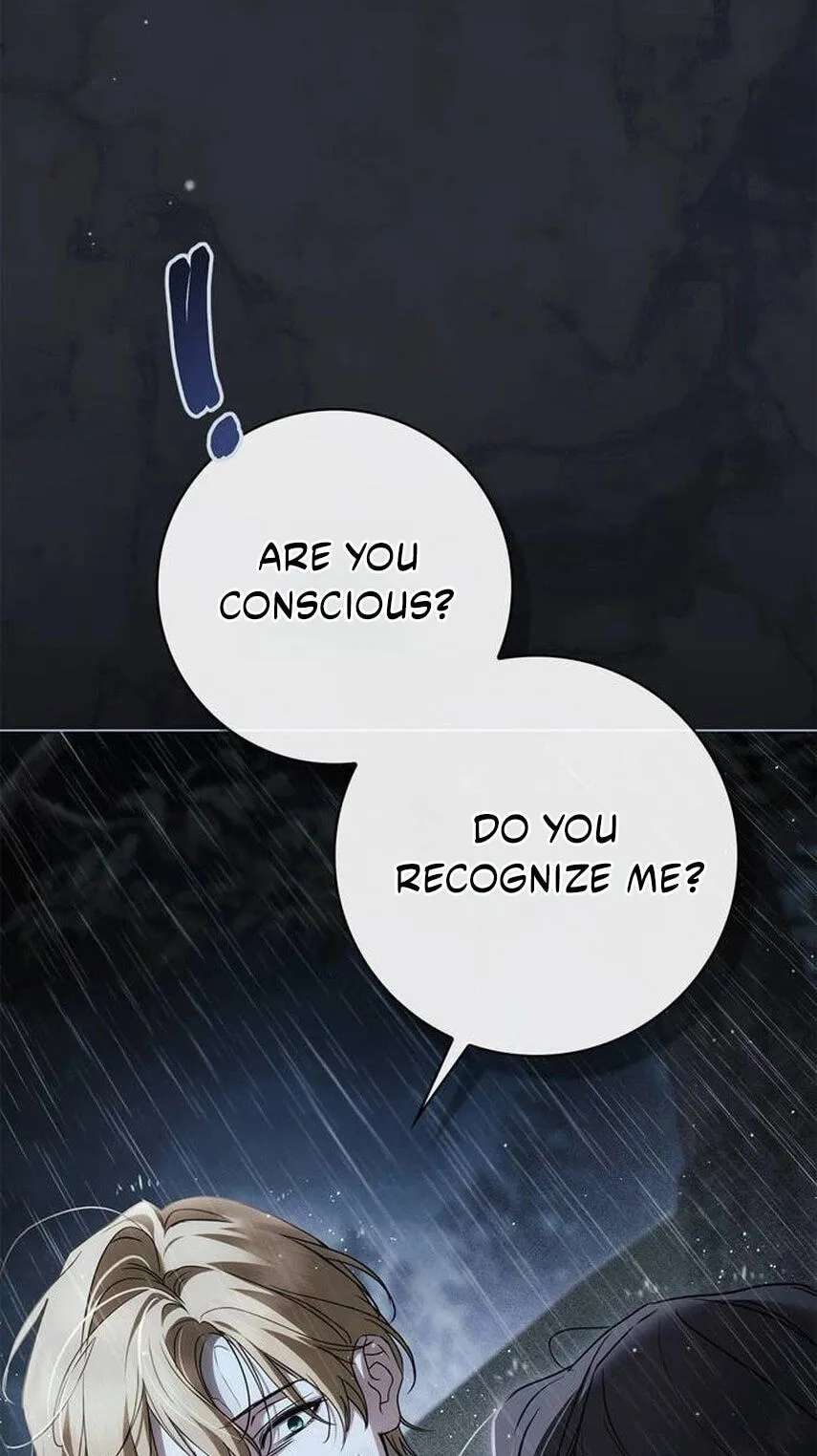The Count's Secret Maid Chapter 108 - page 46