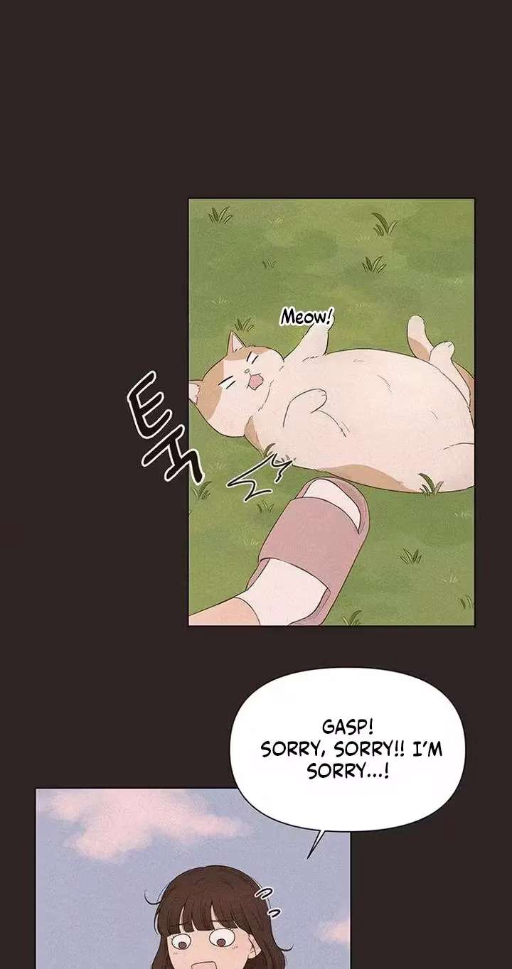 The Silver Eyes Sparkled Chapter 3 - page 6