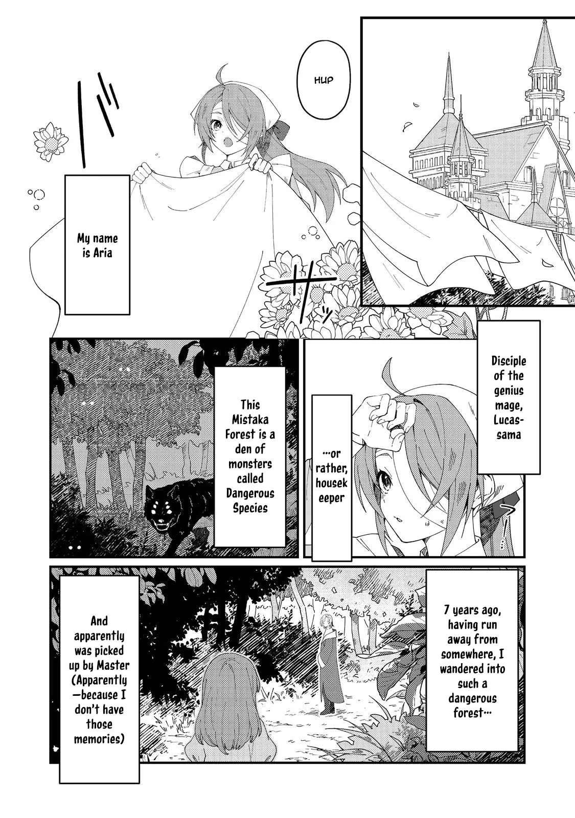 Hiroware Deshi to Birei Majutsushi ~Monogusa Shishou no Kutsushita Sagashi wa Kyou mo Taihendesu~ @COMIC Chapter 1 - page 10