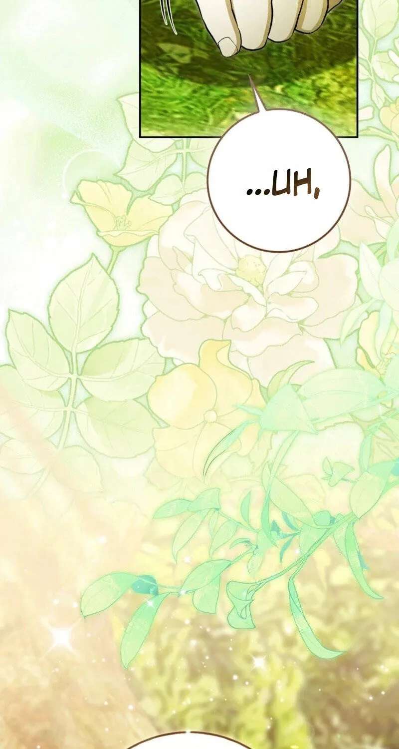 The Baby Fairy is a Villain Chapter 73 - page 25
