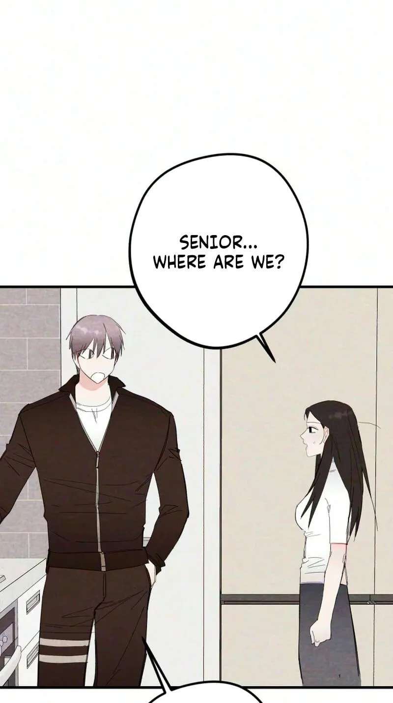 The Perfect Senior's Secret! Chapter 26 - page 11