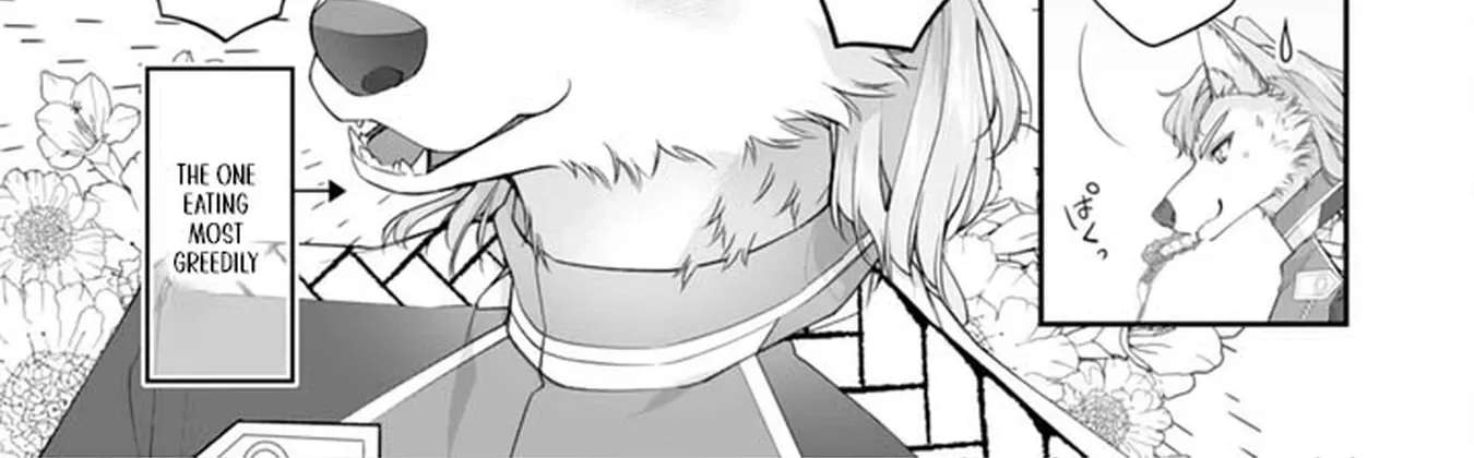 A Cat-Eared Girl's Heartwarming Meals for Fluffy Creatures Chapter 5 - page 16