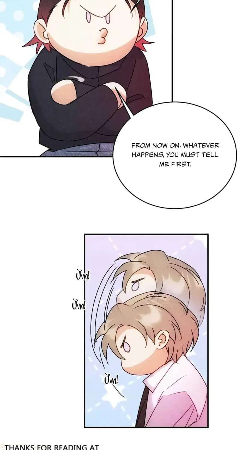 Transmigrated into the Golden Goose of the Alpha Big Boss Chapter 62 - page 27